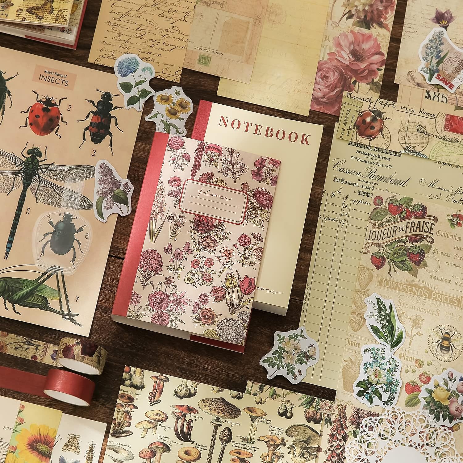 emmoolife Vintage Aesthetic Scrapbooking Supplies Kit, Flowers Botanical Bullet Junk Journal Kit with Journaling Supplies, Tweezers, A6 Grid Notebook,Stationery,Sticker, Birthday Craft Gift for Adult